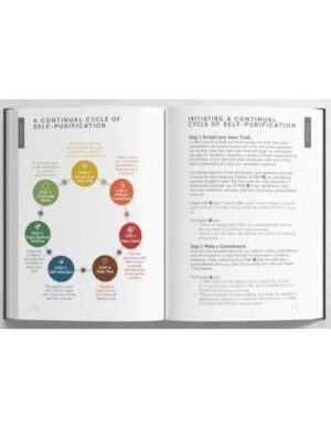 Handbook of Spiritual Medicine - Image 3