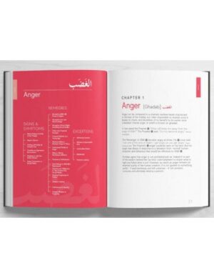 Handbook of Spiritual Medicine - Image 5